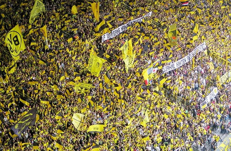 Wow, der BVB unterstützt uns!